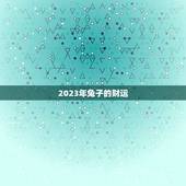 63年的兔子今年命运(2023年运势大介绍财运亨通但需注意健康问题)
