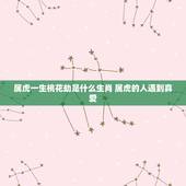 属虎一生桃花劫是什么生肖 属虎的人遇到真爱