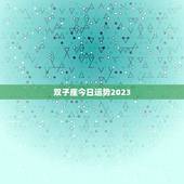 双子座今日运势2023，最新2023年星座运势