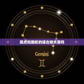 属虎和属蛇的适合做夫妻吗 女属虎男属蛇的姻缘