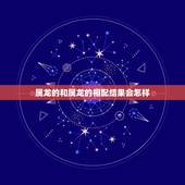 属龙的和属龙的相配结果会怎样(龙龙相会是天作之合)