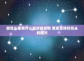微信头像用什么最好最吉利 寓意吉祥好兆头的图片