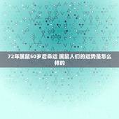 72年属鼠50岁后命运 属鼠人们的运势是怎么样的