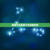 属相三合星座不合结婚好吗，生肖与星座！