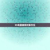 95年属猪找对象方位，95年属猪最佳婚配属相