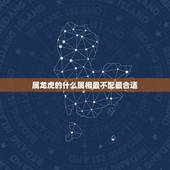 属龙虎的什么属相最不配最合适，属龙和什么属相不合