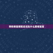 狗和老鼠婚配应该生什么属相宝宝，属鼠和属鼠的婚配好吗