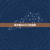 双子座202312月运势，2023 年双子座下半年运势