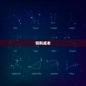 养牛10头牛多少成本(详解养牛成本分析)