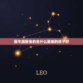 属牛跟属兔的生什么属相的孩子好，男属牛女属兔生个什么属相的宝宝比较好