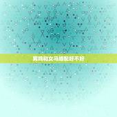 男鸡和女马婚配好不好，男鸡和女马是三合吗？