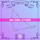 属鼠人和属鼠人合不合属相，属鼠人与什么属相相合