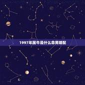 1997年属牛是什么命男婚配，1994年男属狗和1997年女属牛婚配合
