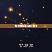 属鸡的今年运势2023，属鸡2023年运势及运程