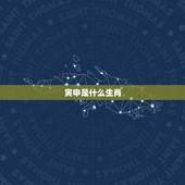 寅申是什么生肖，申时辰是什么生肖