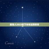 属兔人2023年下半年运势咋样 属兔下半年的感情运势