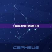 73年属牛今日财运怎么样，73年属牛男老年运势怎么样？