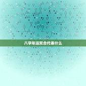 八字年运双合代表什么，八字年运双合代表什么生肖