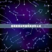 属相里面没有猫用英语怎么说，12生肖里为什么没有猫