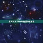 属狗的人2023年的运势及运程，2023年是什么年，属狗的人运势会好吗