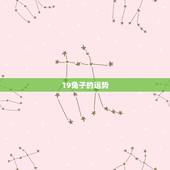 19兔子的运势