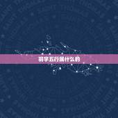 羽字五行属什么的，羽字五行属什么？