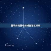 属羊的和属牛的婚配怎么样啊，属牛男的和属羊女，他们相配吗？