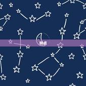 太阳摩羯上升双子性格(内敛稳重外向多变)