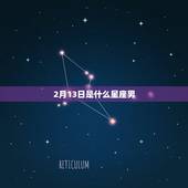 2月13日是什么星座男，农历2月17日是什么星座