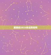属猴的2023年运势如何，猴年2023年运势及运程