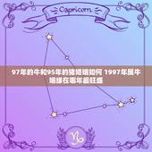 97年的牛和95年的猪婚姻如何 1997年属牛姻缘在哪年最旺盛