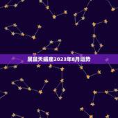 属鼠天蝎座2023年8月运势