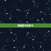 属猪的今年多大，属猪的今年多大？