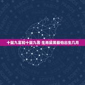 十鼠九富和十鼠九苦 生肖鼠男最怕出生几月