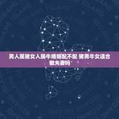 男人属猪女人属牛婚姻配不配 猪男牛女适合做夫妻吗