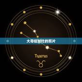 大哥任加代的照片，送50分跪求一篇3千字左右的论文，关于“马哲与当