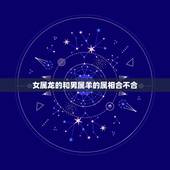 女属龙的和男属羊的属相合不合，男属龙和女属羊的属相不合吗？