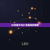 85年属牛与87年属兔的婚配，1985年属牛的女和1987年属兔的男怎