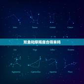 双鱼和摩羯座合得来吗，摩羯和双鱼在一起合适吗