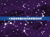 大属相是根据出生时辰来确定的吗，属相是按农历还是按阳历？