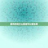 属鸡的和什么属相可以做生意，男人1981年属相和什么属相做生意最生财？
