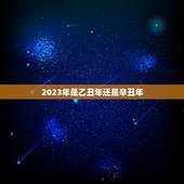 2023年是乙丑年还是辛丑年