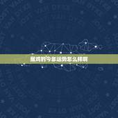 属鸡的今年运势怎么样啊，2005年属鸡的今年运势怎么样