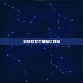 男猪和女牛婚配可以吗，属猪男和属牛女配吗