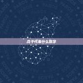戊子代表什么数字，月柱戊子代表什么