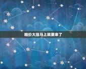 粮价大涨马上就要来了，未来粮食价格会涨吗