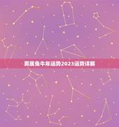 男属兔牛年运势2023运势详解