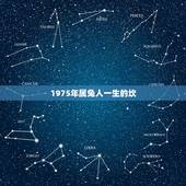 1975年属兔人一生的坎