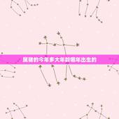 属猪的今年多大年龄哪年出生的，属猪的今年多大