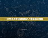 十二生肖之亥猪猪属相之人婚配率大揭秘，属猪和什么属相最配？和什么属相不